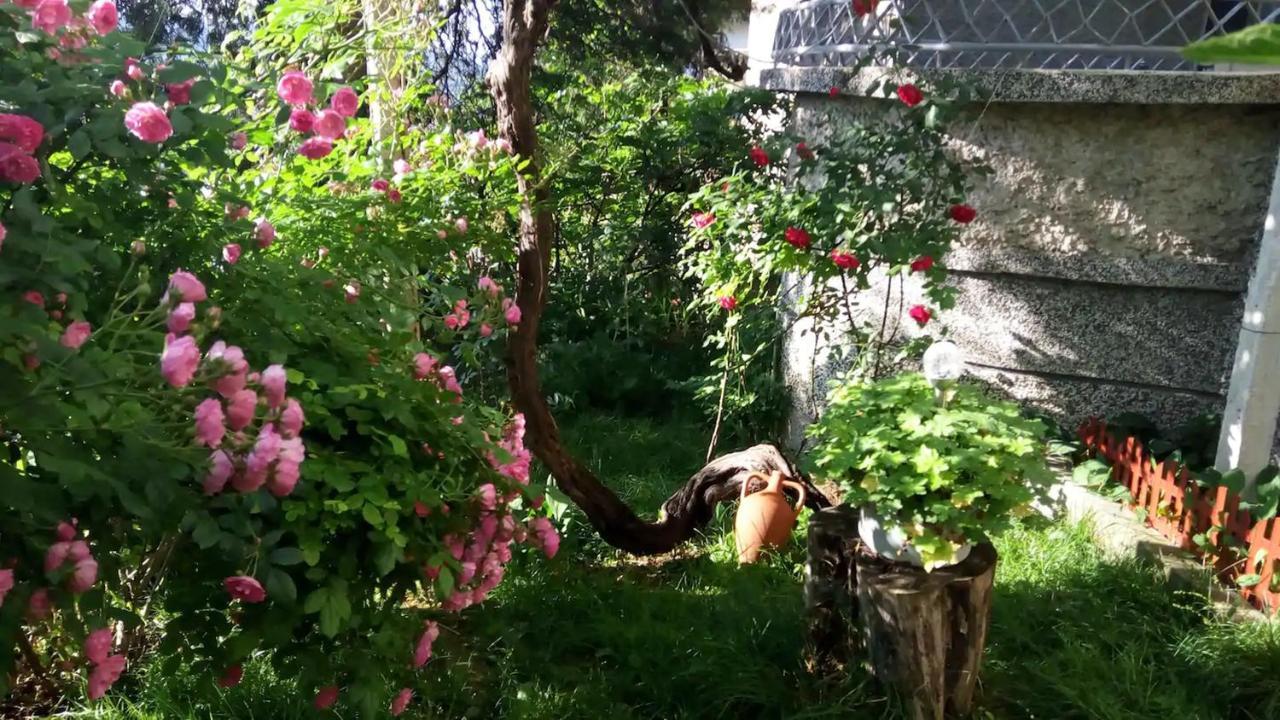 Belivanovi B&B House Veliko Tárnovo Exterior foto